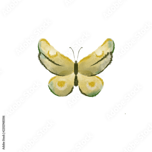 Watercolor yellow butterfly insect isolated on transparent background