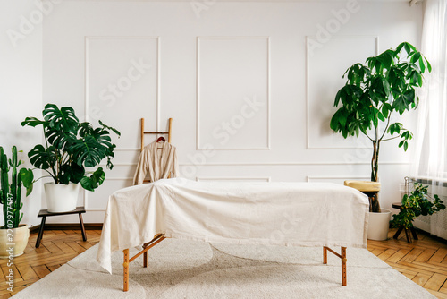 Empty massage table in bright spa room with green plants