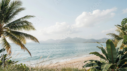 Tropical beach vacation destination showcasing serene ocean views and lush palm foliage for travel marketing