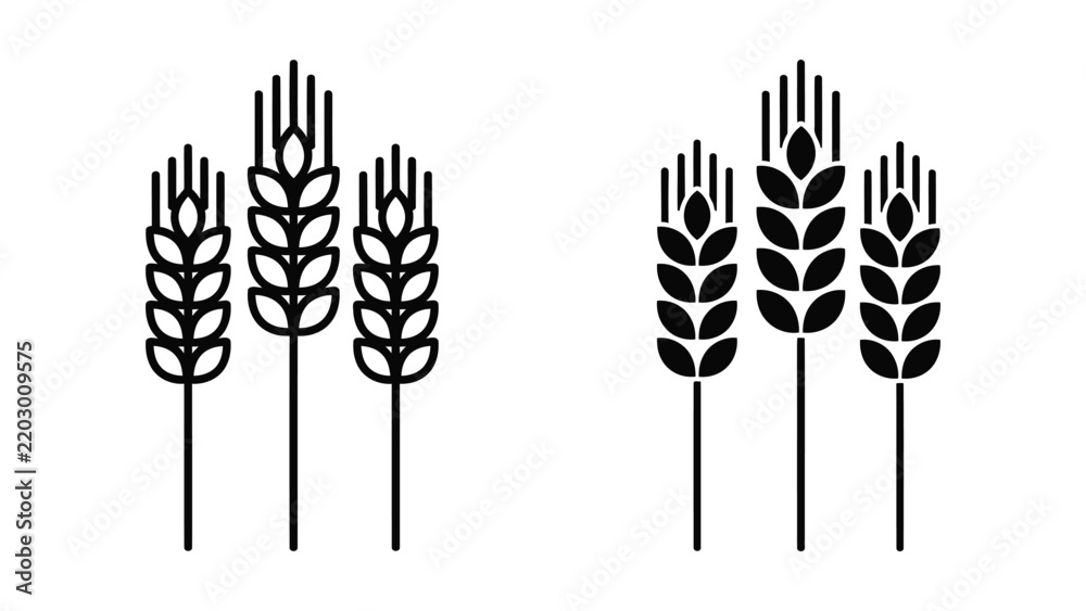 Obraz premium Three wheat stalks representing agriculture harvest and natural organic food vector