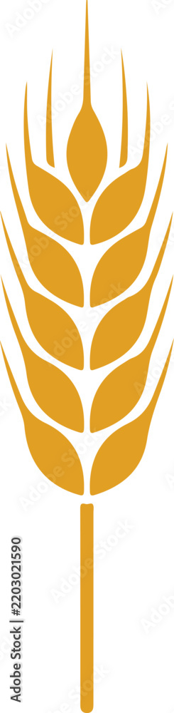Fototapeta premium A golden wheat stalk graphic