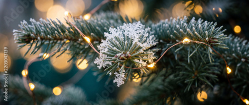 Snowflake on pine branch with fairy lights in close-up macro view, showing frozen ice crystals, warm golden bokeh blur, and copy space for winter holiday greeting card banner