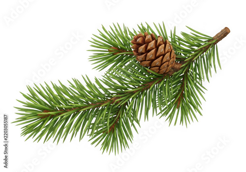 Pinecone and Branch Illustration, Detailed Botanical Study, Natural Element Design