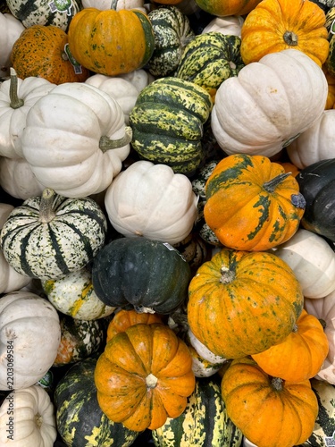 pumpkins for sale at market. Assorted Pumpkins and Gourds Displayed at Market