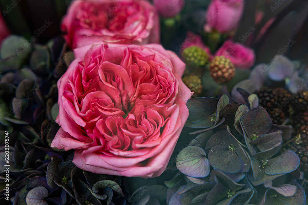 Obraz premium Close up of dusty pink garden roses with dark blue hydrangea and decorative berries in mood floral bouquet
