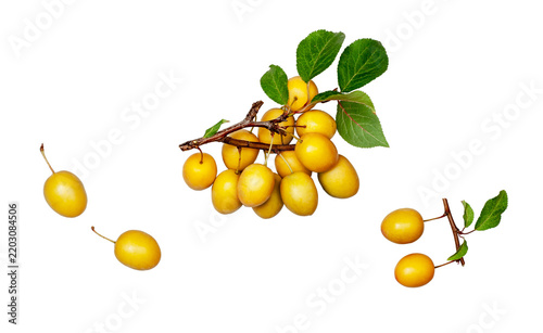 Cherry plums isolated on white background, contour