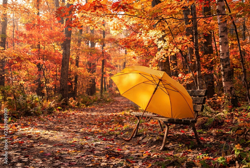 Yellow umbrella lying on park bench surrounded by autumn leaves.