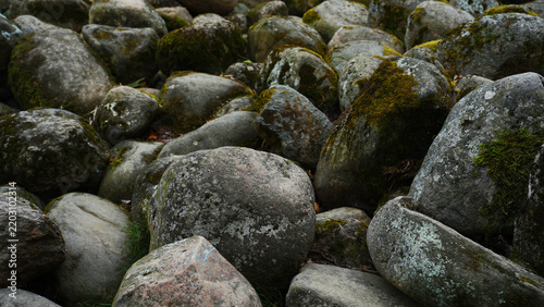 Large stones covered with moss and lichen