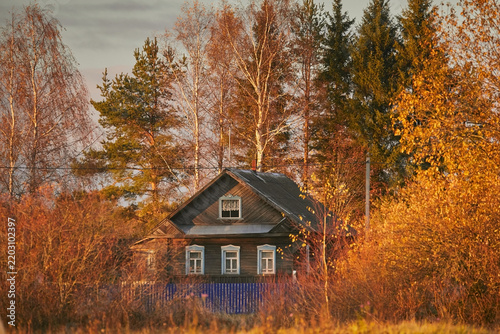 A lonely village house in the autumn forest in the sunset light