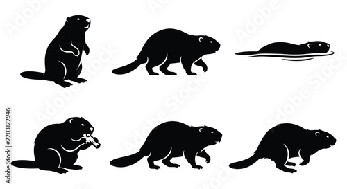 Six black silhouettes of beavers in various poses against a white background