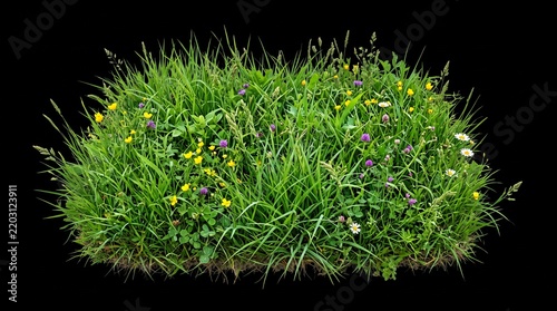 grass on black background