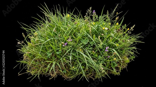 green grass on black background