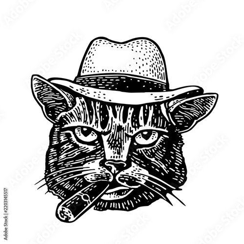 Fotografie Cat smoking cigar
