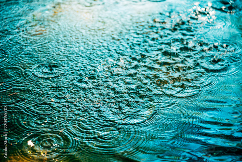 Concentric circular ripples expanding across dark water, distorting the reflections of green trees and sky on the surface.