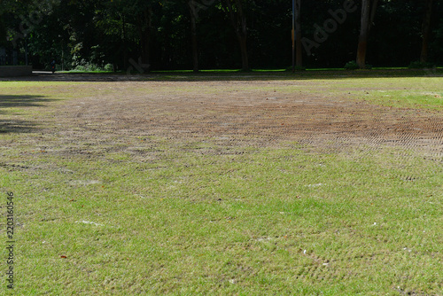 sandy patches on a domestic lawn during garden renovation and repair work