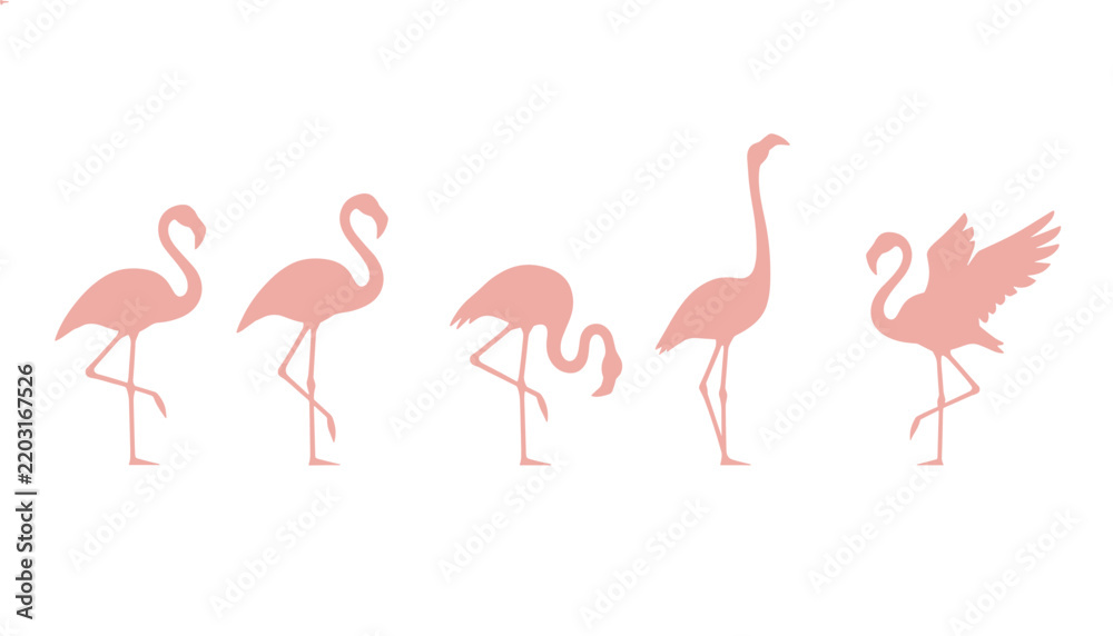 Obraz premium A lovely lineup of pink flamingos in various poses representing tropical wildlife, exotic birds, and nature photography.