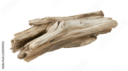 Fotografie Isolated weathered organic light brown driftwood piece with natural texture, ide