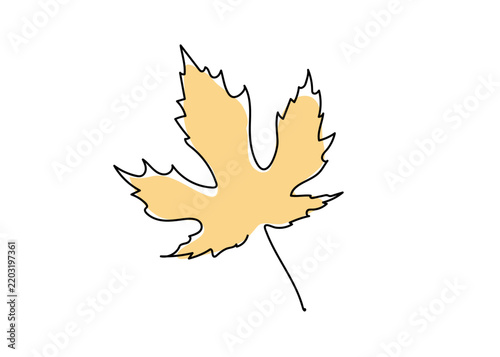 Maple leaf. Line art design color drawing. Nature eco concept. Single continuous line draw graphic vector illustration