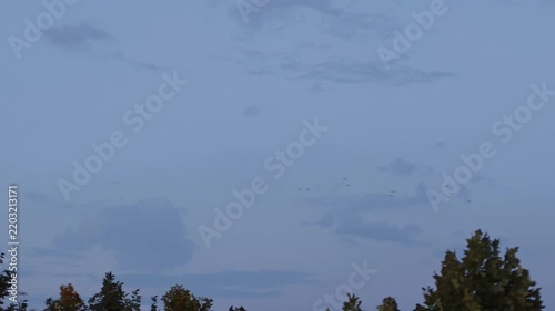 Blue clouds in the sky at dusk