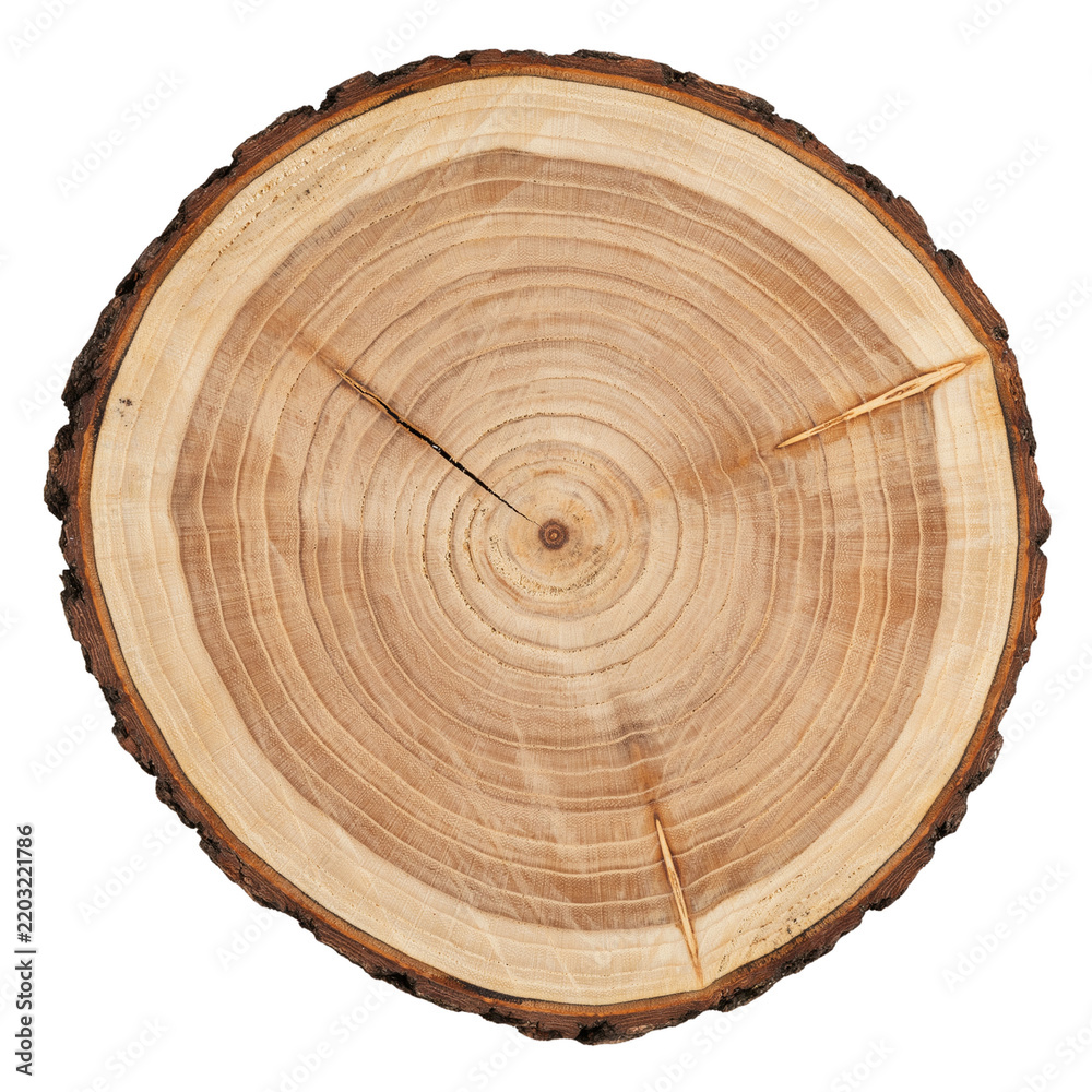 Fototapeta premium Top View of a Circular Wooden Tree Stump with Detailed Growth Rings and Dark Bark Isolated on Transparent Background