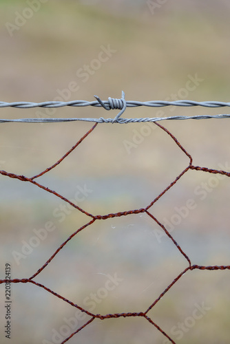 Close-up of a barbed wire and hexagonal chicken wire mesh fence on farmland 