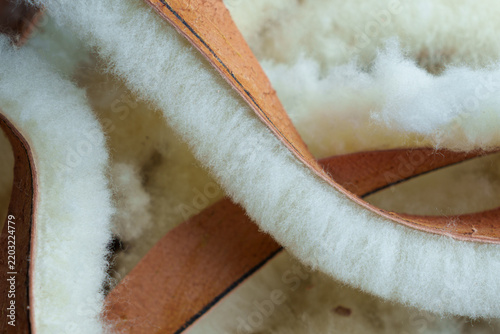 Macro shot of trimmed strips of tanned sheepskin with fluffy fleece