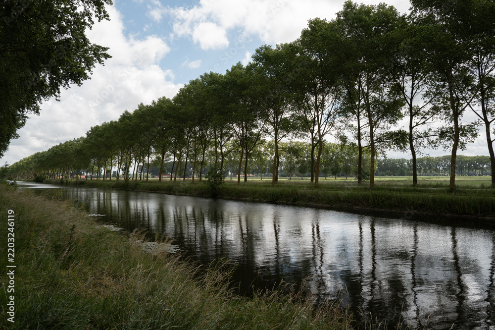 Obraz premium Canal lined with trees in Bruges, Belgium