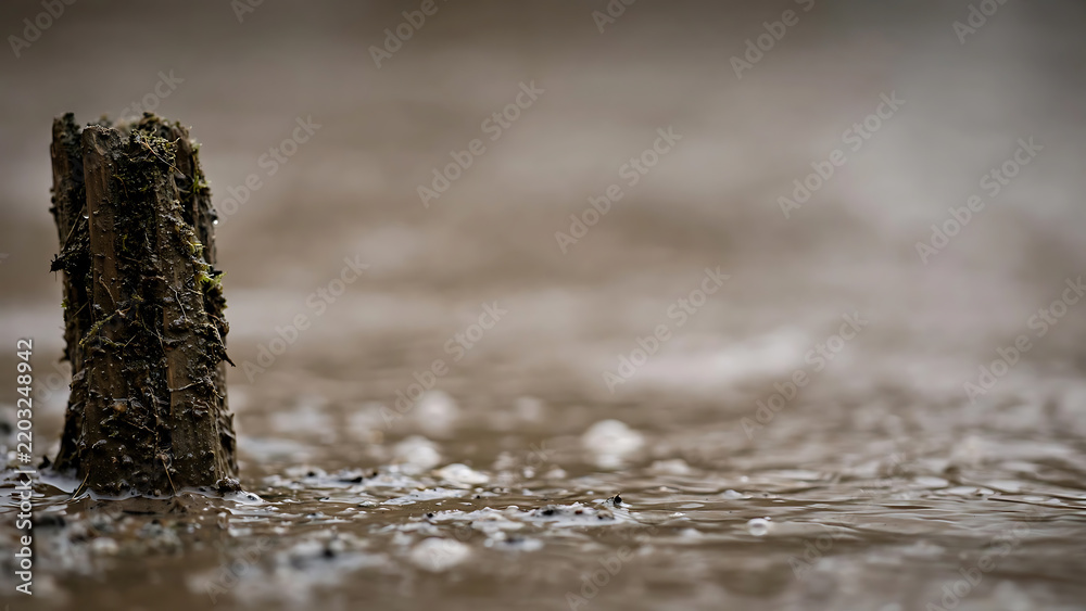 Obraz premium Close-up of a weathered wooden post sticking out of muddy wet ground in a natural landscape