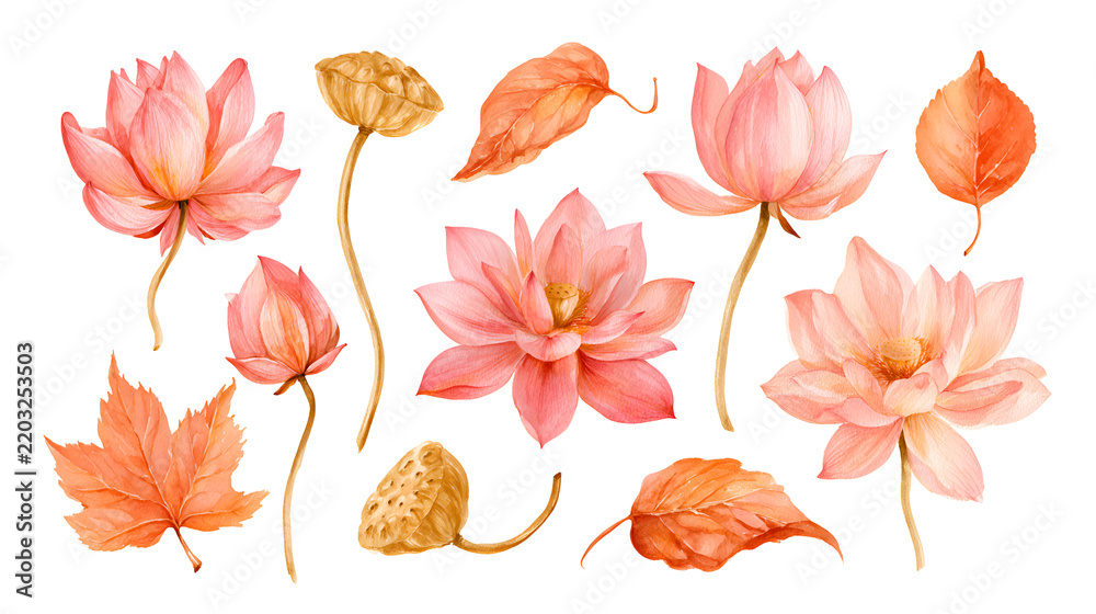 Fototapeta premium Watercolor painting of delicate pink lotus flowers and autumn leaves on black background