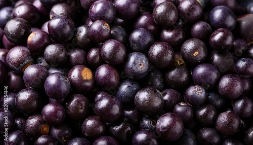 organic acai berries densely packed in a full frame top view macro shot with natural waxy coating