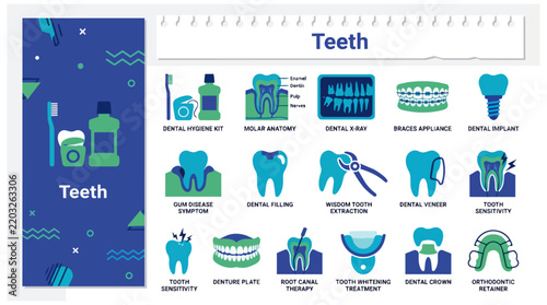 Dental health icon set featuring molar anatomy, braces, implants, and oral hygiene care tools