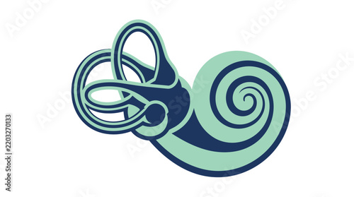Inner ear cochlea and semicircular canals anatomical labyrinth flat vector illustration for audiology and ent medical clinics
