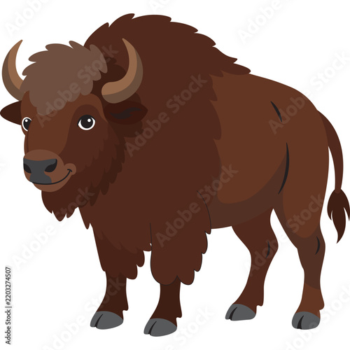 Animals Illustration
