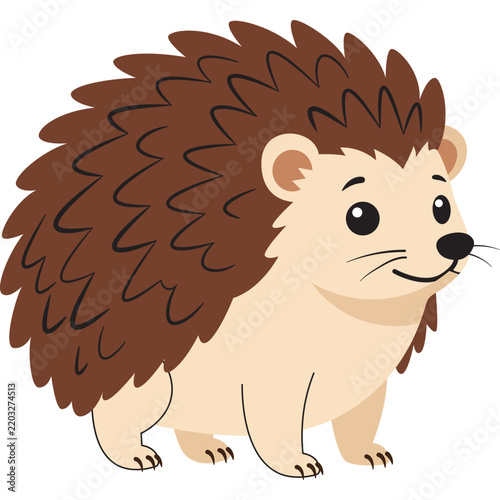 Animals Illustration
