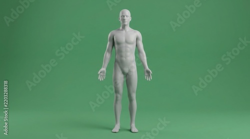 Full body 3D male mannequin standing on green background illustration