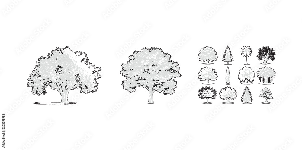 Obraz premium Set of isolated hand drawn trees for professional landscape architecture plans and elevation sketches including diverse botanical types on transparent background.