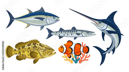 Set of Various Marine Fish Species Vector Illustration