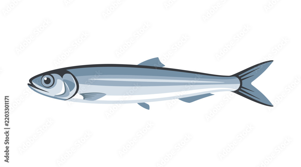 Obraz premium Isolated Vector Illustration of a Small Silver Sardine Fish