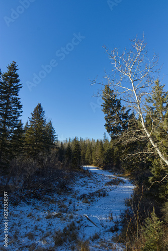 A Cold Winter Day at Whitemud Park