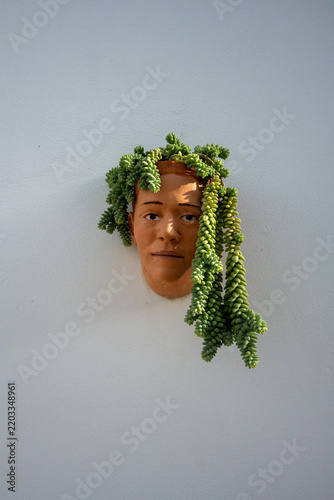 Human head shaped planter with hanging succulents as hair on a white wall