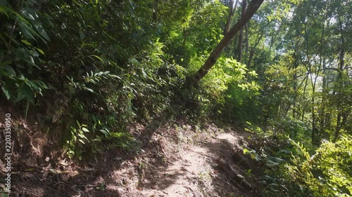 Slow motion POV walking along dirt trail path through lush green tropical forest and trees