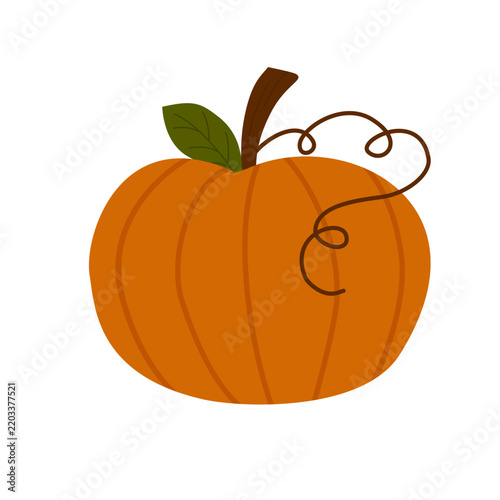 Pumkin thaksgiving