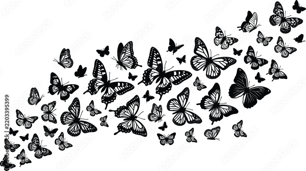 Obraz premium Decorative black silhouette swarm of beautiful flying butterflies with intricate wing patterns isolated on white vector