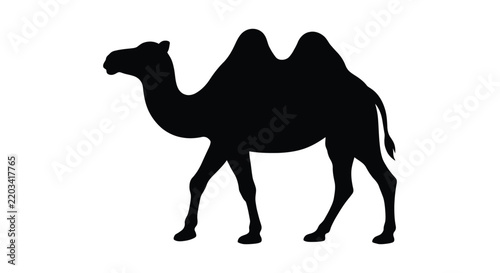 Obraz na plátně Black silhouette of a dromedary camel against a white background a simple animal