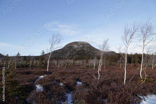 Winter landscape along Tsutsujigahara Nature Trail in Kawayu, Hokkaido, Japan