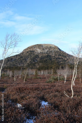 Winter landscape at Tsutsujigahara Nature Trail in Kawayu, Hokkaido, Japan