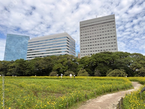 park in the middle of high rise buildings in Japan 