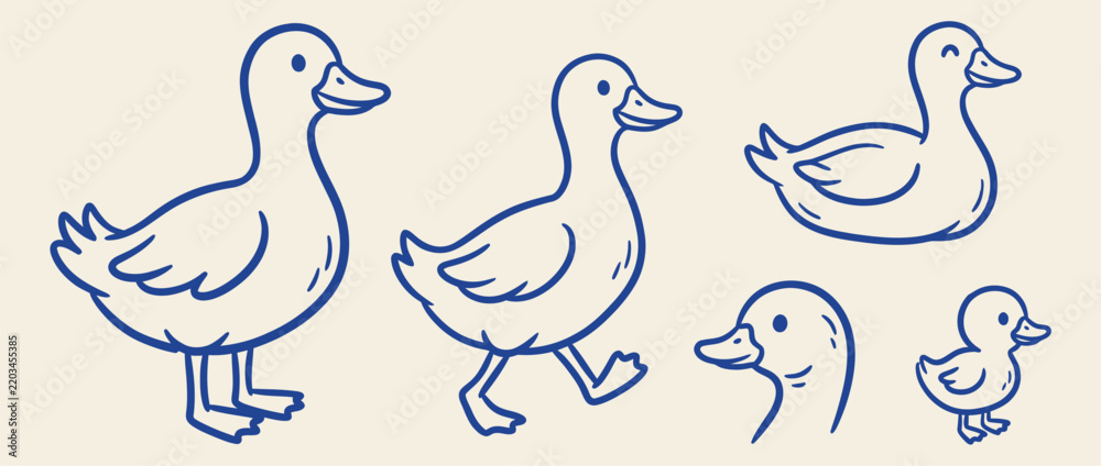 Obraz premium Hand drawn blue line art vector set of cute ducks and ducklings in various poses against a light background