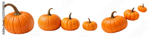 Fresh pumpkins row isolated PNG, orange autumn gourds arranged by size on transparent background, thanksgiving harvest vegetable border