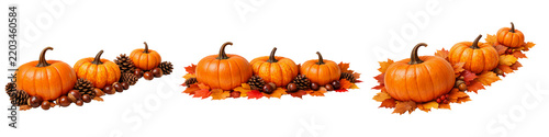 Autumn pumpkin borders with leaves isolated PNG, orange pumpkins with maple foliage and pinecones on transparent background, thanksgiving holiday decoration